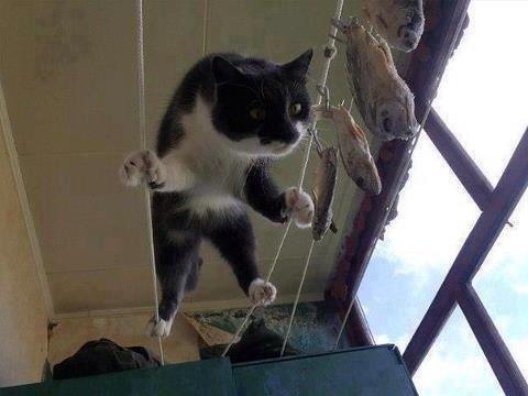 diverse - 9491_513342238687452_547695958_n.jpg